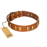 "Olive Slice" FDT Artisan Tan Leather English Bulldog Collar with Engraved and Smooth Plates  "Olive Slice" FDT Artisan Tan Leather English Bulldog Collar with Engraved and Smooth Plates