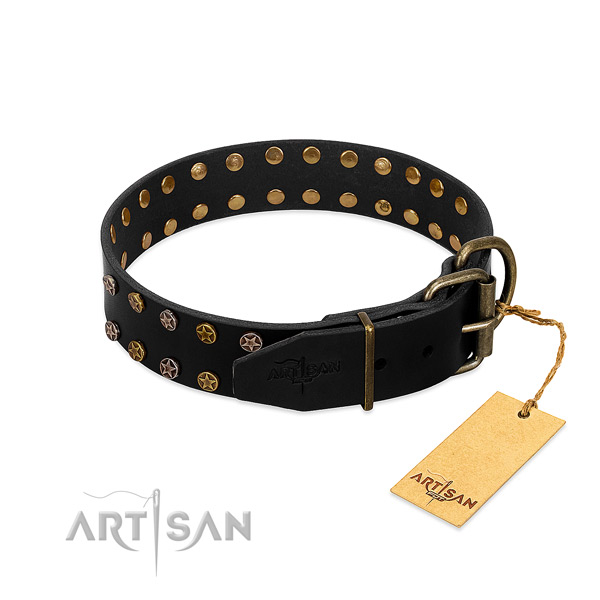Full grain leather collar with incredible studs for your doggie