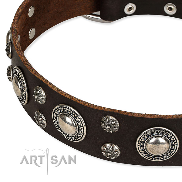 Easy to put on/off leather dog collar with almost unbreakable brass plated buckle and D-ring