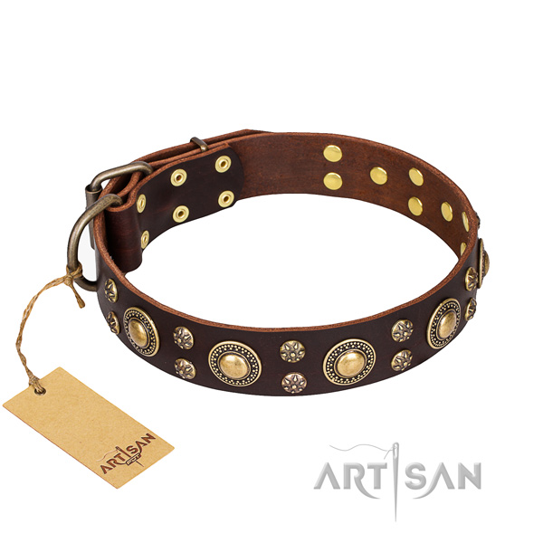 Inimitable full grain natural leather dog collar for everyday use