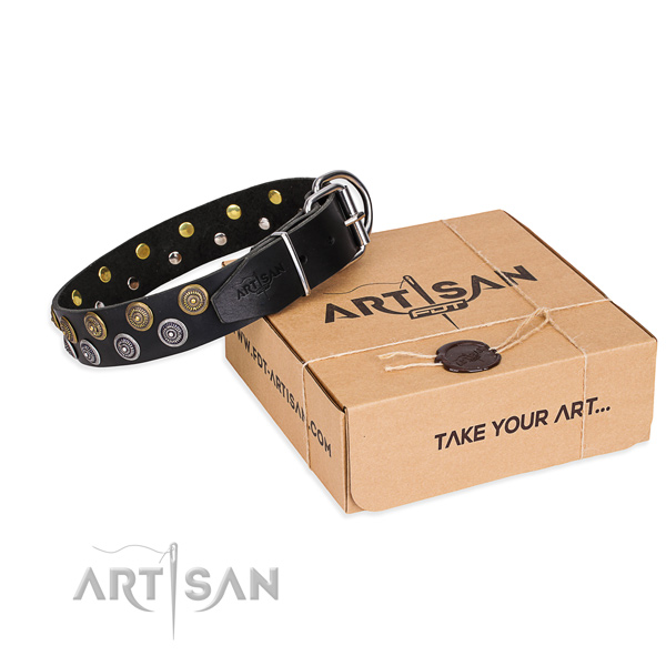 Full grain genuine leather dog collar with studs for  everyday use
