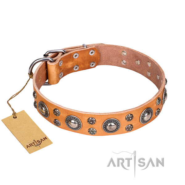 Awesome full grain genuine leather dog collar for daily walking
