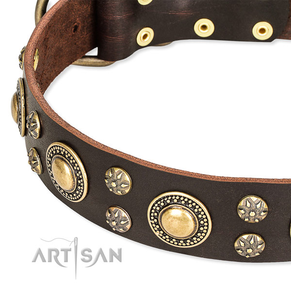 Leather dog collar with impressive embellishments