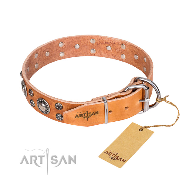 Stylish walking full grain genuine leather collar with studs for your pet