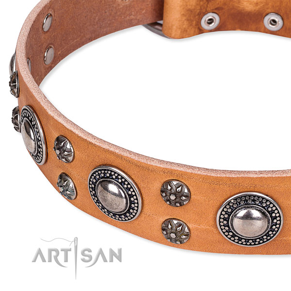 Everyday walking full grain leather collar with rust-proof buckle and D-ring