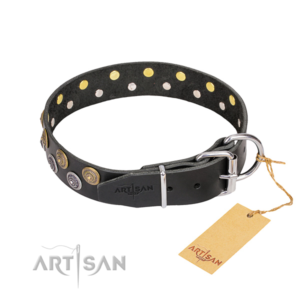 Daily walking leather collar with adornments for your  pet