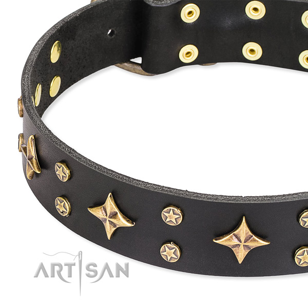 Full grain leather dog collar with remarkable embellishments