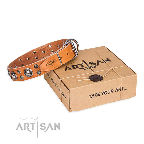 Awesome genuine leather dog collar for walking in style