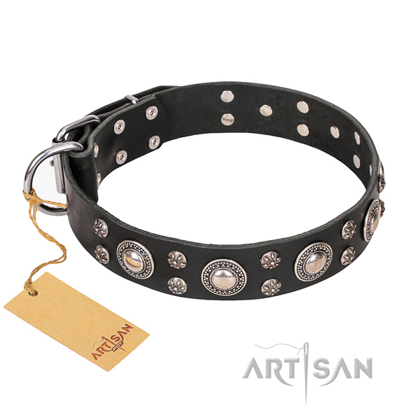 Dependable leather dog collar with durable elements