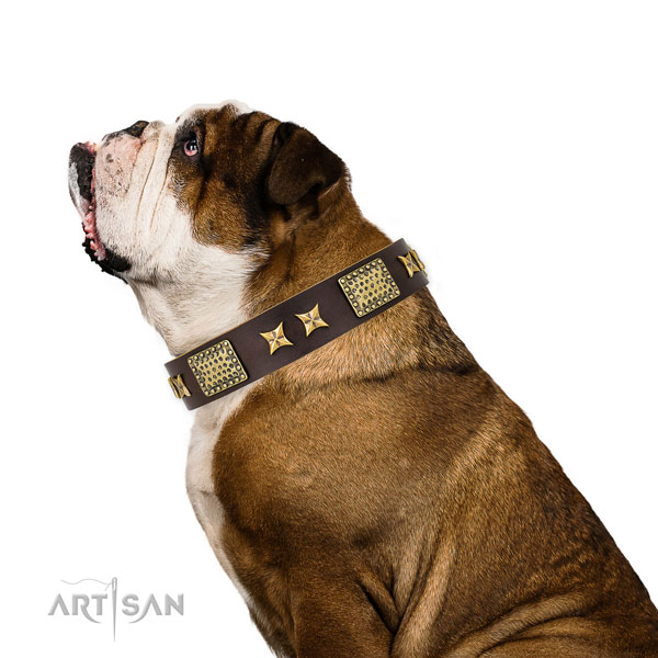 Handy use dog collar with designer embellishments