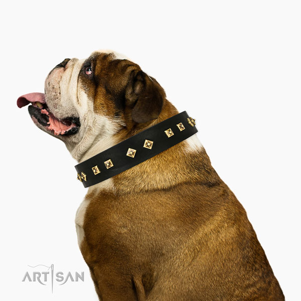 Amazing decorations on everyday walking genuine leather dog collar