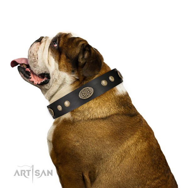 Reliable fittings on natural leather dog collar for comfortable wearing