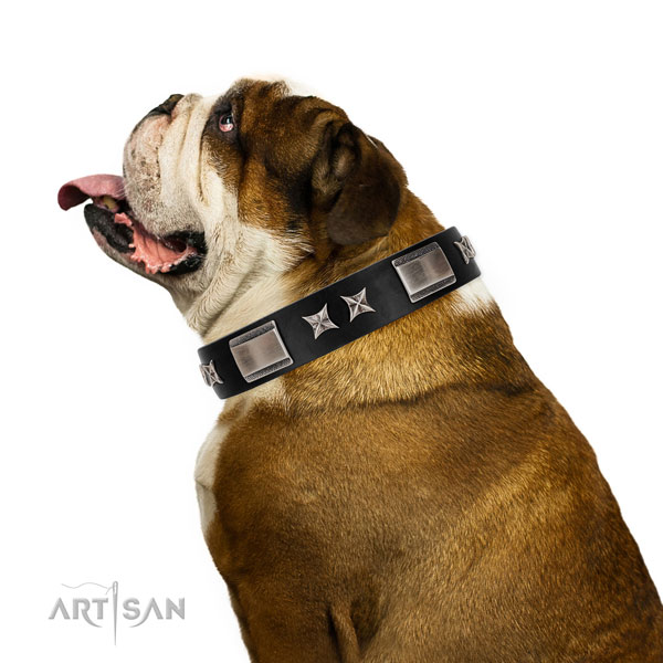 Comfy wearing best quality full grain leather dog collar with decorations