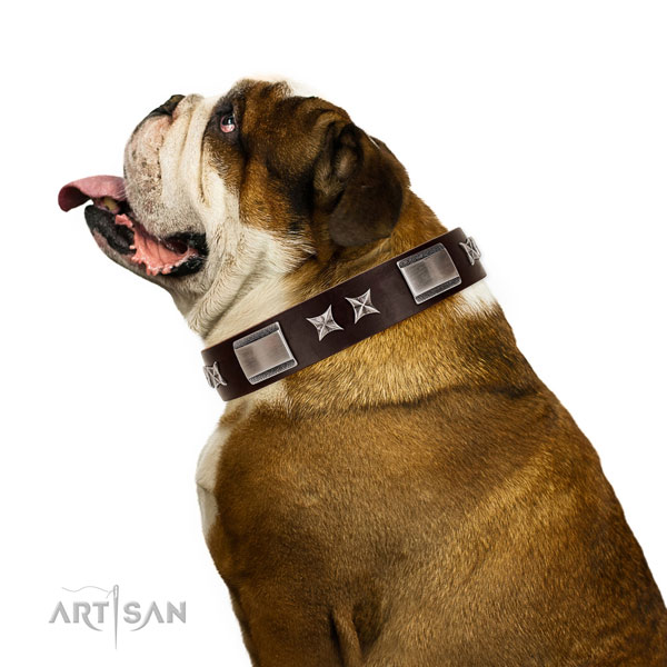 Top notch collar of natural leather for your stylish canine