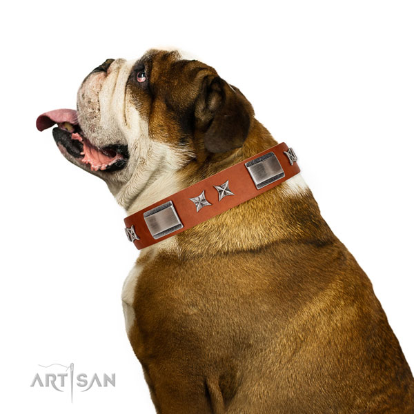 Stylish walking top notch full grain natural leather dog collar with adornments