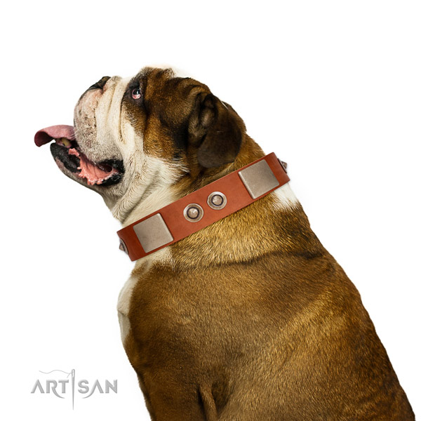 Reliable buckle on full grain natural leather dog collar for daily use