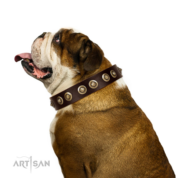 Durable hardware on full grain genuine leather dog collar for fancy walking