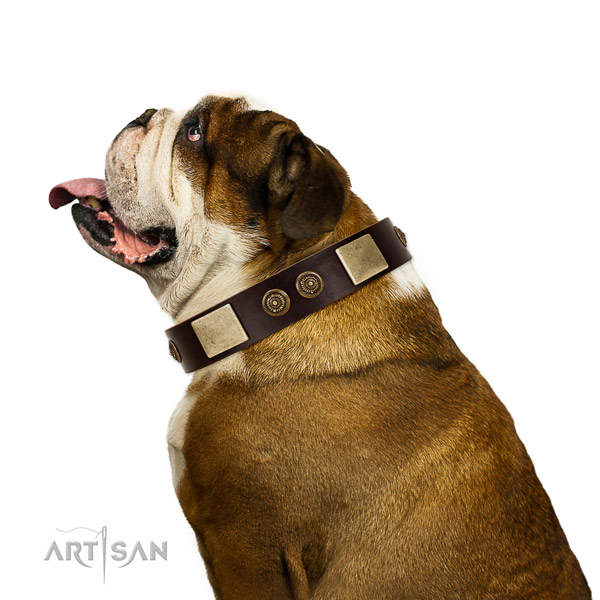 Comfortable wearing dog collar of genuine leather with stylish adornments