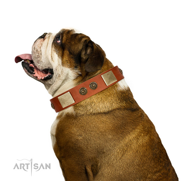 Trendy dog collar handcrafted for your beautiful dog