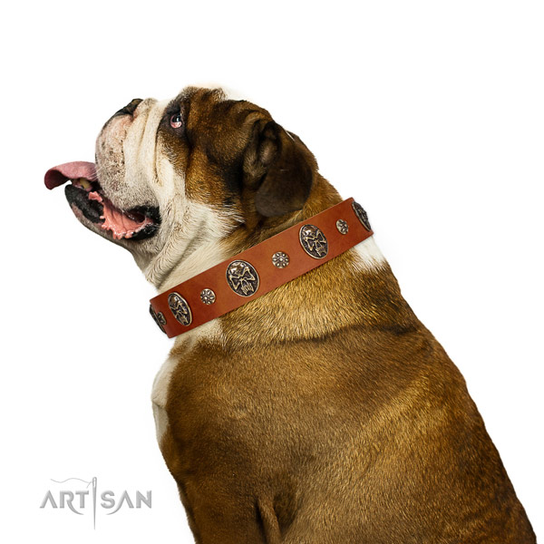 Basic training dog collar of genuine leather with top notch adornments