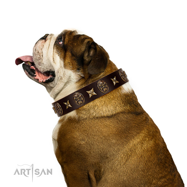 Stylish walking dog collar of leather with awesome decorations