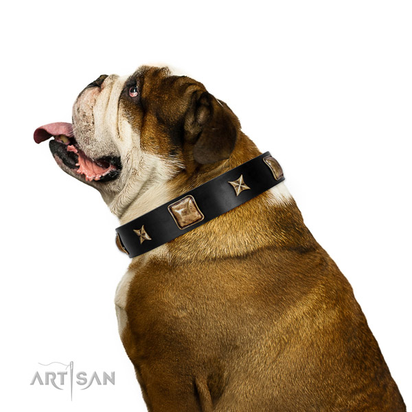Handmade dog collar crafted for your beautiful doggie