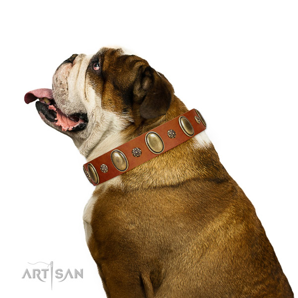 Everyday walking high quality genuine leather dog collar with adornments