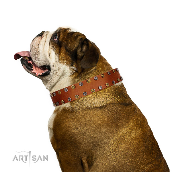 Handy use high quality genuine leather dog collar with adornments