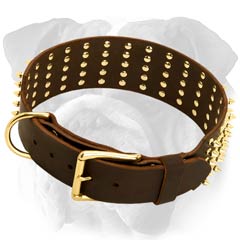 Wide Leather Dog Collar with Brass Spikes