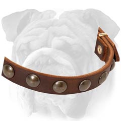 Tearproof Studded Leather English Bulldog Collar