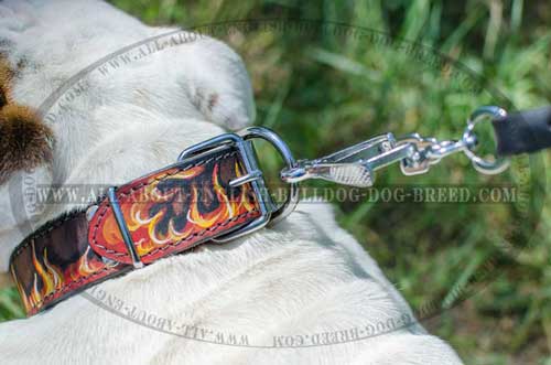 English Bulldog Flamed Leather Collar Tearproof