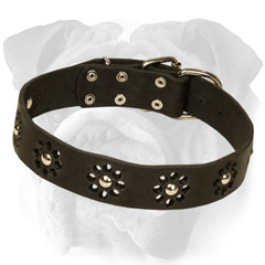 Chic collar with flower design for English Bulldog