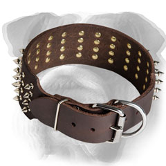 Easy adjustable leather collar for English Bulldog