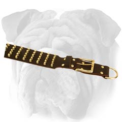 Easy in handling English Bulldog collar with brass  spikes