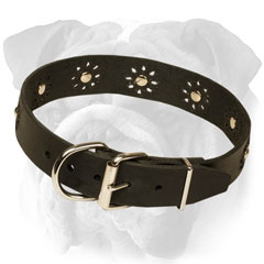 English Bulldog collar easy to regulate due to  traditional buckle