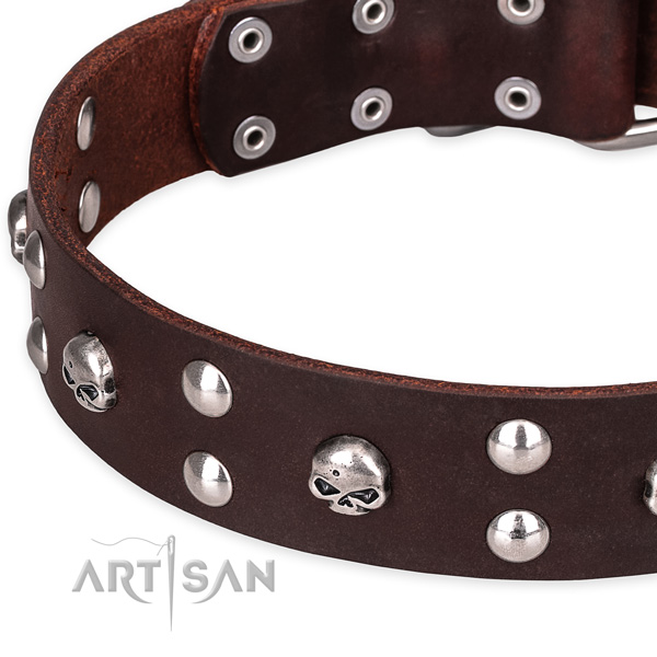 Daily leather dog collar with sensational adornments