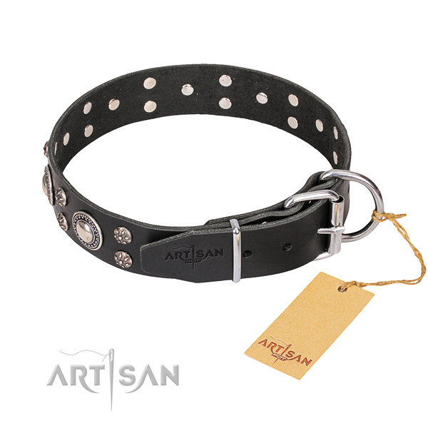 Full grain leather dog collar with thoroughly polished leather strap