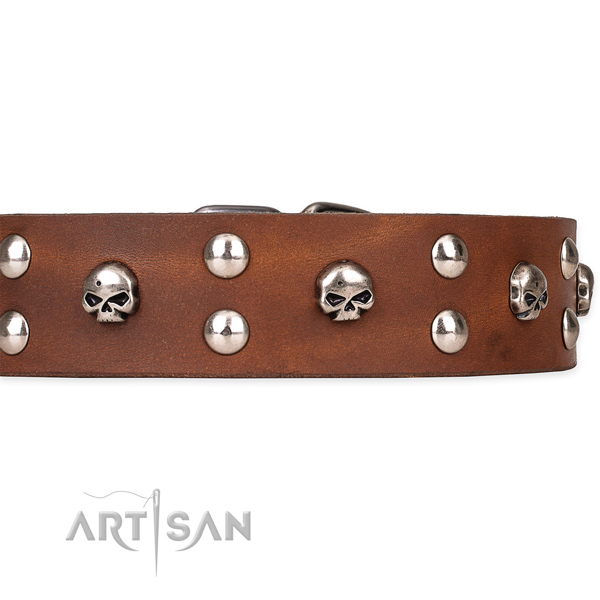 Full grain genuine leather dog collar with thoroughly polished leather surface