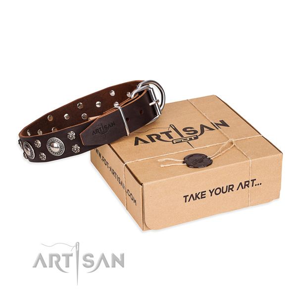 Casual leather dog collar with refined embellishments
