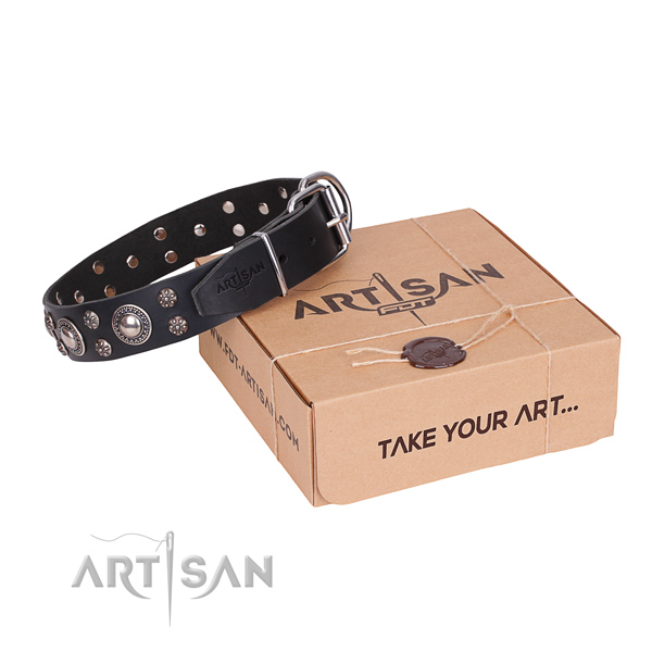 Day-to-day leather dog collar with fancy adornments