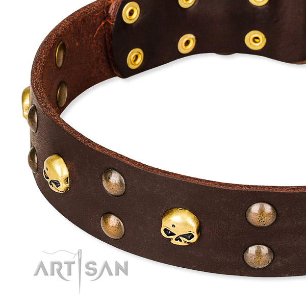 NaturalAwesome leather dog collar for safe pet control