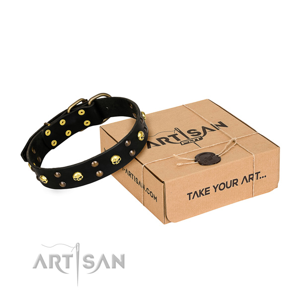 Casual leather dog collar with fashionable adornments