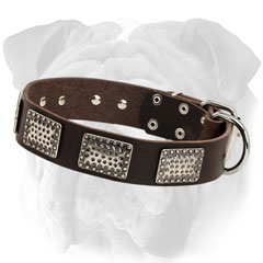 Plated Leather Dog Collar