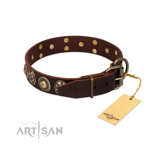 Handy use full grain natural leather collar with embellishments for your four-legged friend