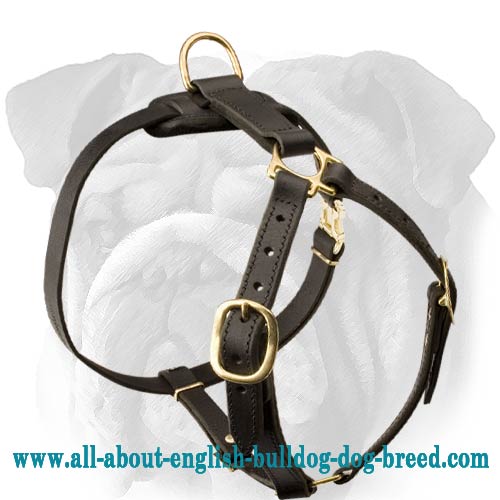 Buy Leather Dog Pulling Harness