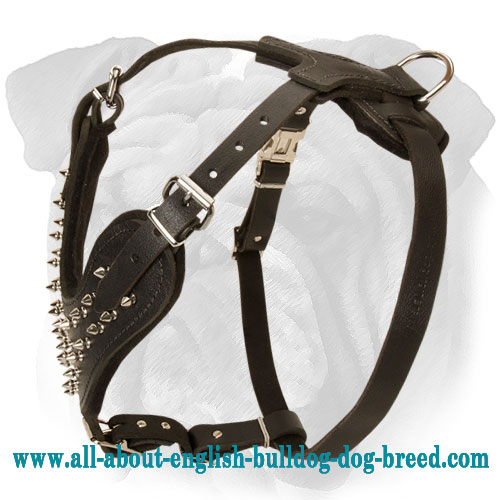 Buy Designer Dog HarnessSpiked Leather Dog Harness