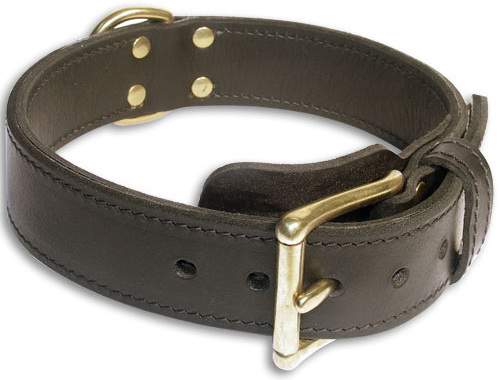 leather collar