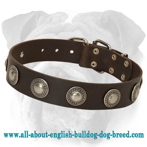 Leather dog shop collars with conchos