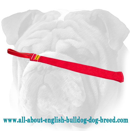 how strong is an english bulldogs bite