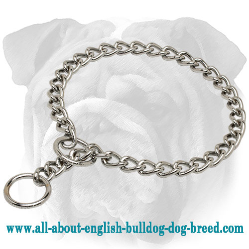 choke chain style collar